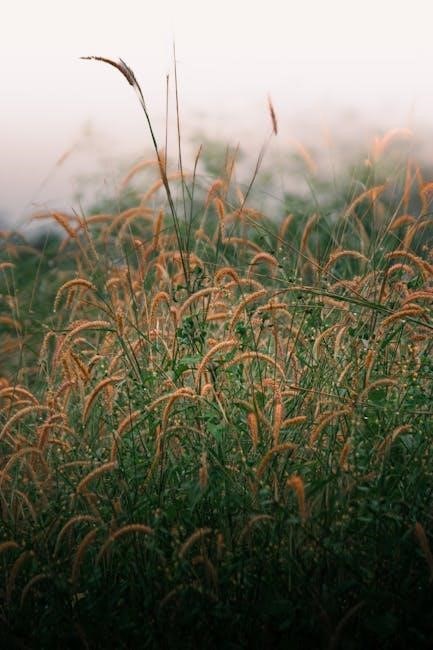 calculus early transcendentals by james stewart 8th edition pdf calculus early transcendentals by james stewart 8th edition pdf