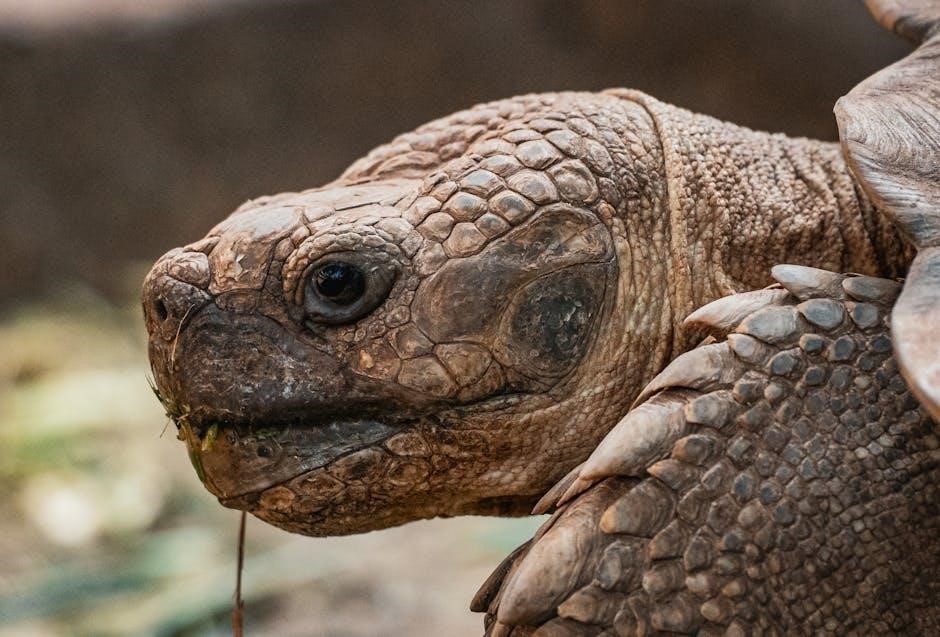 xnx xnx honeywell analytics 4 x manual download pdf download xnx xnx honeywell analytics 4 x manual download pdf download